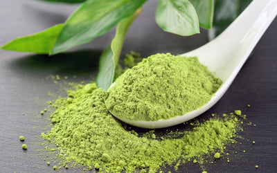 How to Buy Good Quality Matcha Green Tea